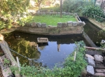 IMG-8656