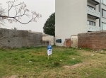 IMG-1740